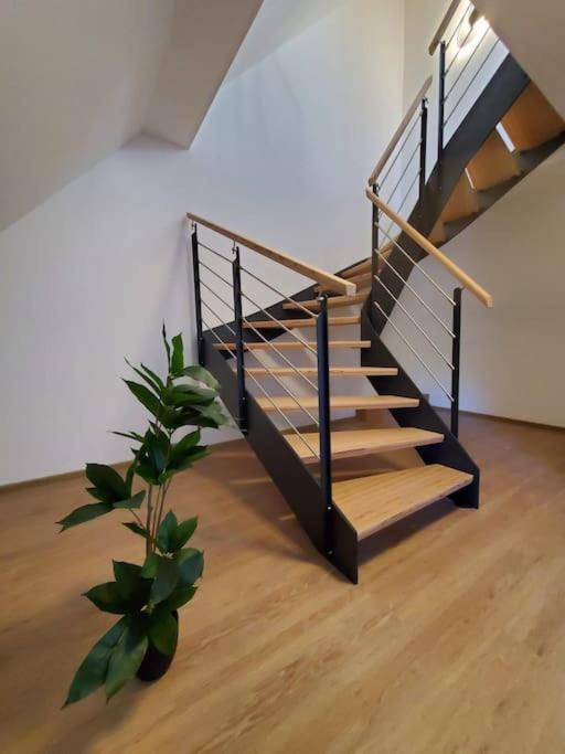 Mosel-auszeit Apartment *
